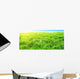 Sunset Deep Forest Wall Decal