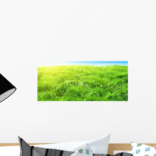 Sunset Deep Forest Wall Decal