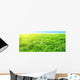 Sunset Deep Forest Wall Decal