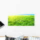 Sunset Deep Forest Wall Decal