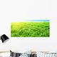 Sunset Deep Forest Wall Decal