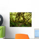 Rain Forest No2 Wall Decal