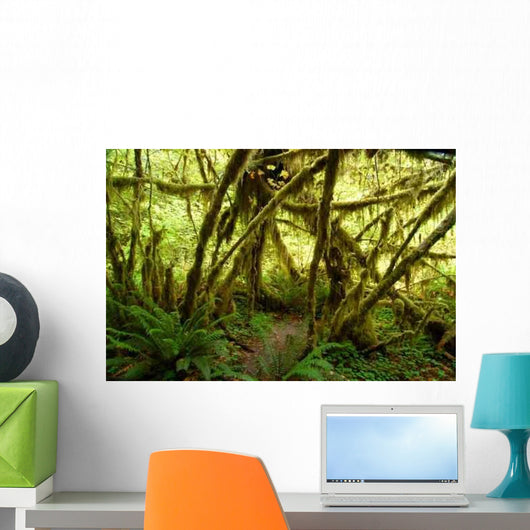 Rain Forest No2 Wall Decal