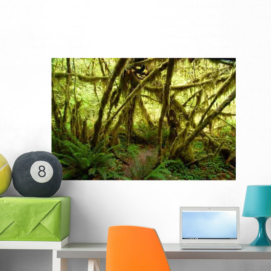 Rain Forest No2 Wall Decal