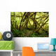 Rain Forest No2 Wall Decal