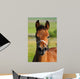 Portrait Bay Foal Wall Decal