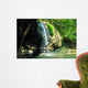 Serenity Falls Buderim Sunshine Wall Decal