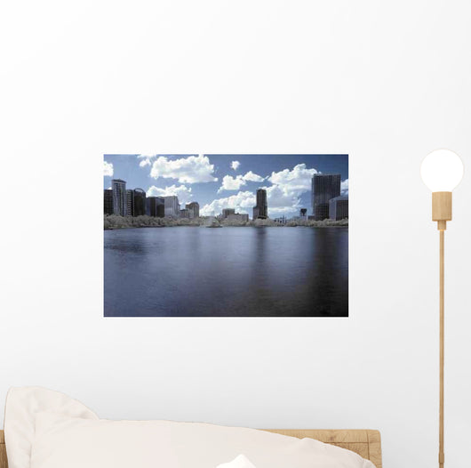 Infrared Downtown Orlando Wall Decal