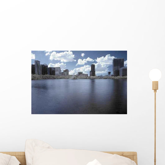 Infrared Downtown Orlando Wall Decal