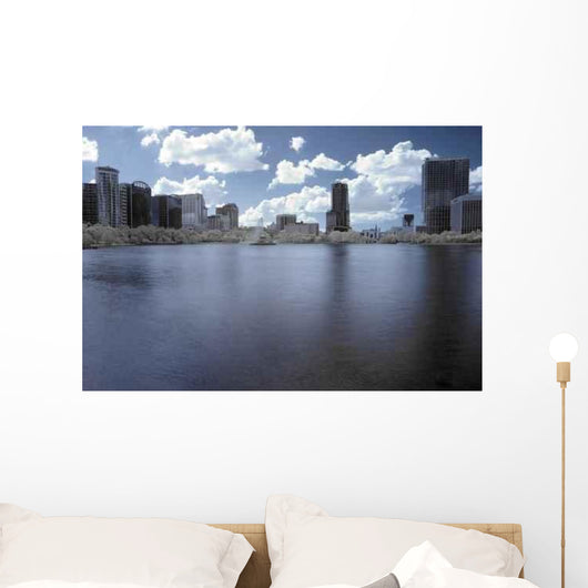 Infrared Downtown Orlando Wall Decal