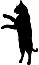 Cat Wall Decal