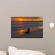 Baby Fur Seal Punta Wall Decal
