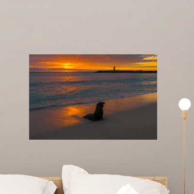 Baby Fur Seal Punta Wall Decal shown on a wall