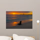 Baby Fur Seal Punta Wall Decal