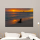 Baby Fur Seal Punta Wall Decal