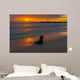 Baby Fur Seal Punta Wall Decal