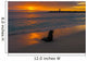 Baby Fur Seal Punta Wall Decal