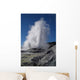 Geyser Wall Decal Design 2
