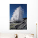 Geyser Wall Decal Design 2