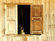 Window Cambodia Wall Decal