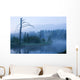 Early Morning Fog under Wall Decal