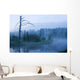 Early Morning Fog under Wall Decal