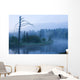 Early Morning Fog under Wall Decal