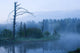 Early Morning Fog under Wall Decal