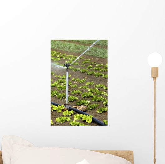 Watering Field Wall Decal