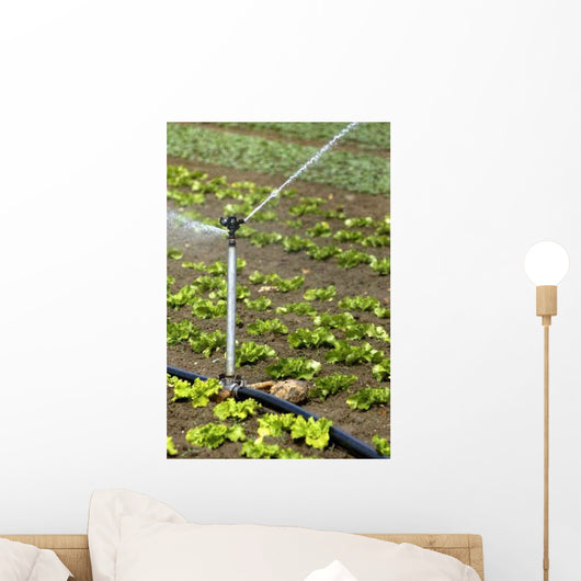 Watering Field Wall Decal