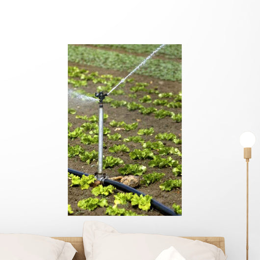 Watering Field Wall Decal