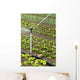 Watering Field Wall Decal