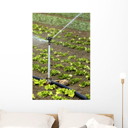 Watering Field Wall Decal