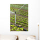 Watering Field Wall Decal