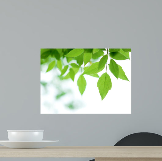 Green Leaves over Wall Decal