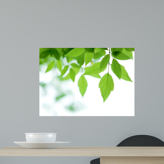 Green Leaves over Wall Decal