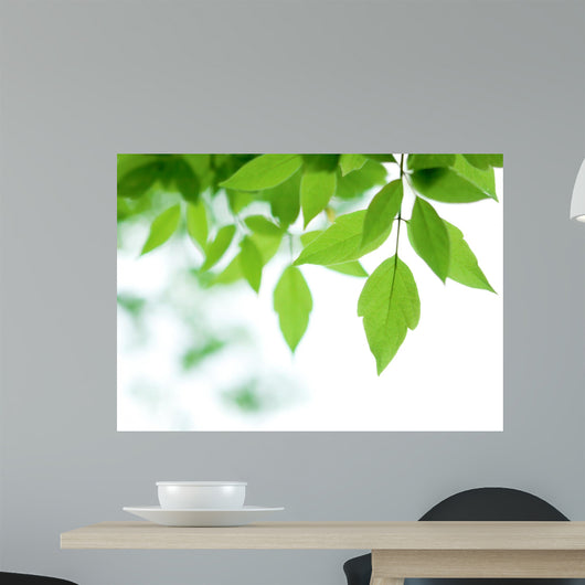 Green Leaves over Wall Decal