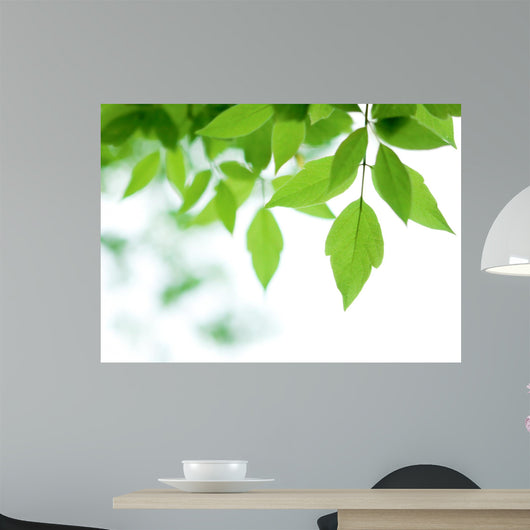 Green Leaves over Wall Decal