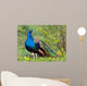 Peacock Wall Decal