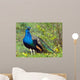 Peacock Wall Decal
