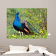 Peacock Wall Decal
