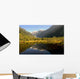 Franz Josef Glacier Wall Decal