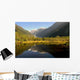 Franz Josef Glacier Wall Decal