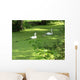 Swans Wall Decal