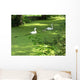 Swans Wall Decal