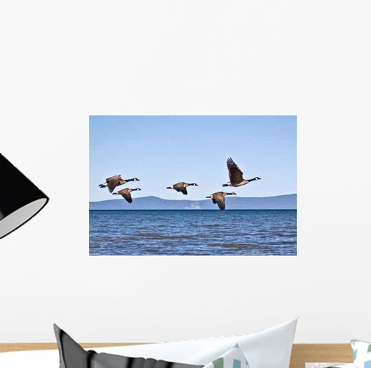 Geese Tahoe Wall Decal