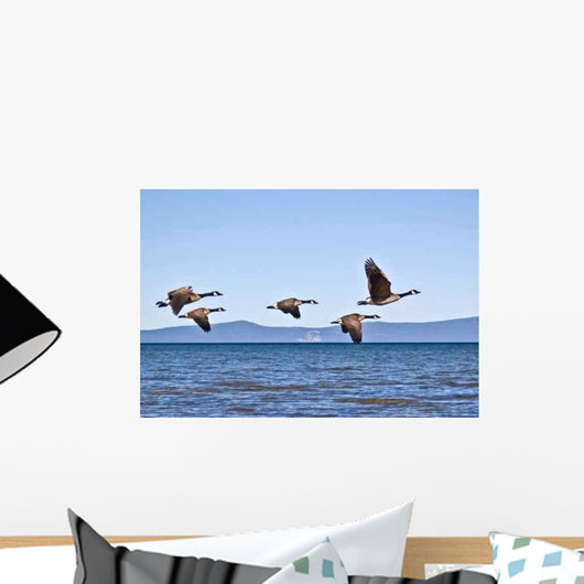 Geese Tahoe Wall Decal