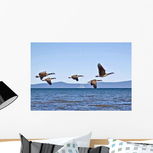 Geese Tahoe Wall Decal