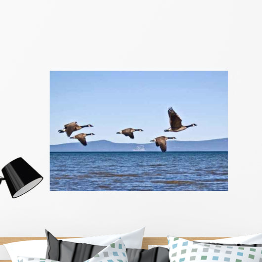 Geese Tahoe Wall Decal