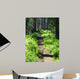 Trail through Woods Wall Decal